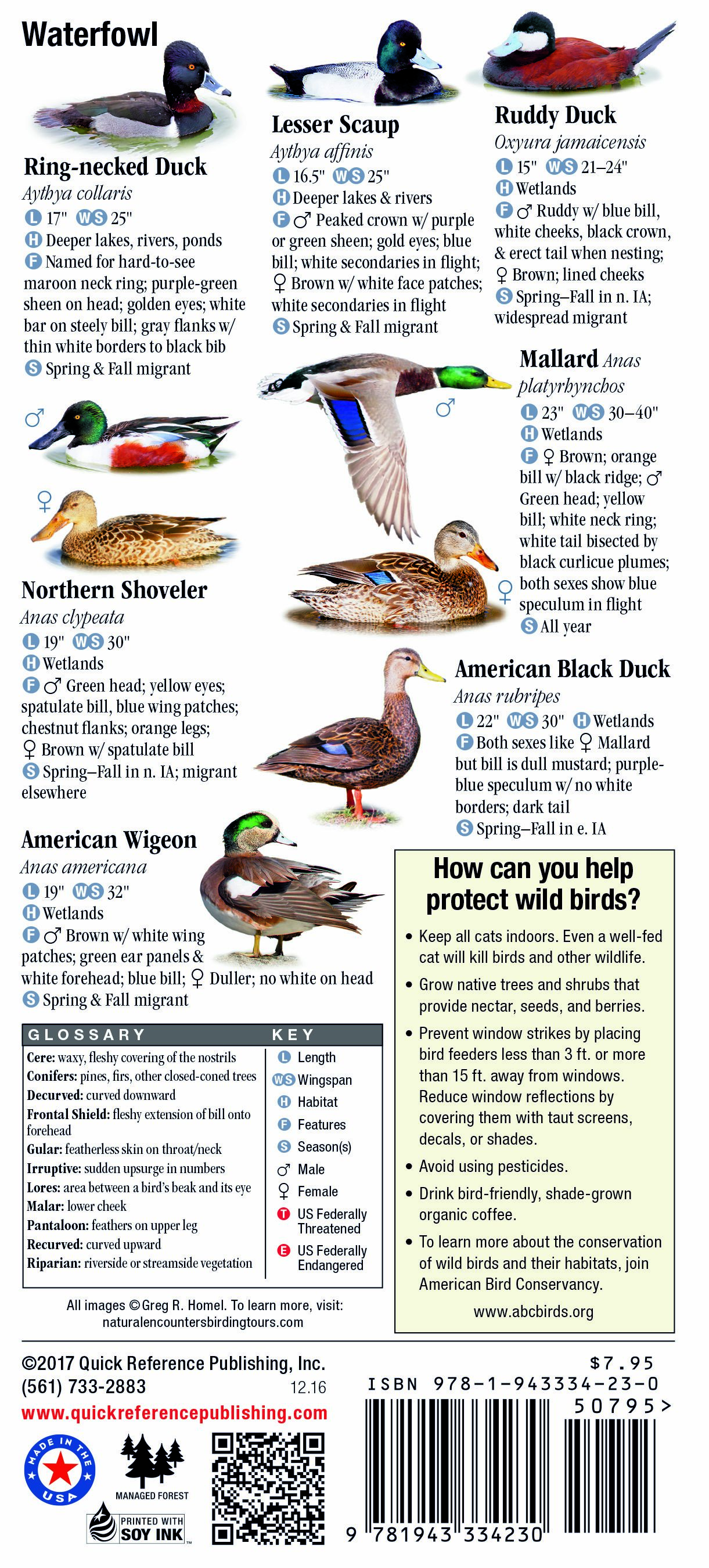 Birds of Iowa – Quick Reference Publishing Retail