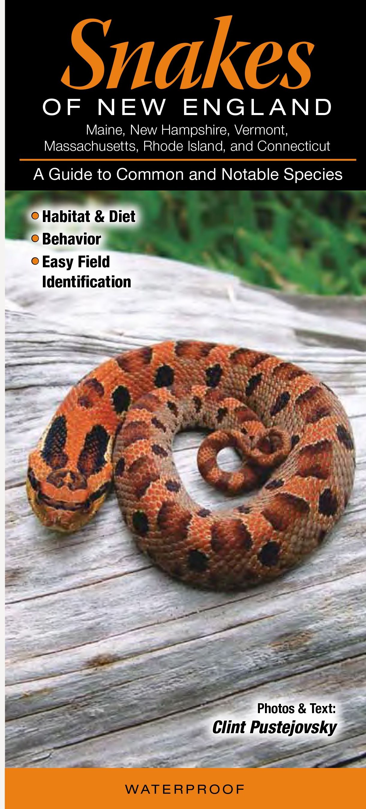 Snakes Of New England – Quick Reference Publishing Retail