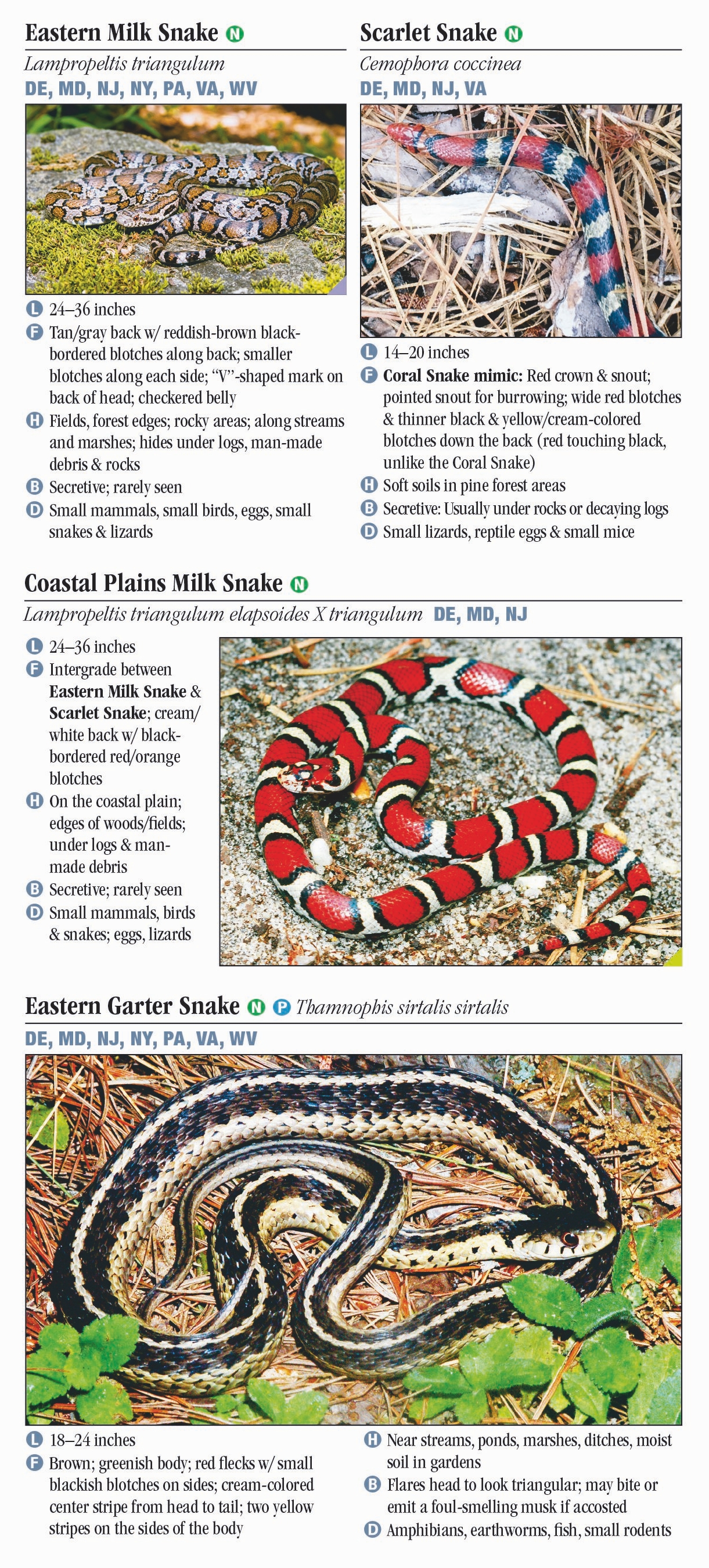 Snakes of the Mid-Atlantic States – Quick Reference Publishing Retail