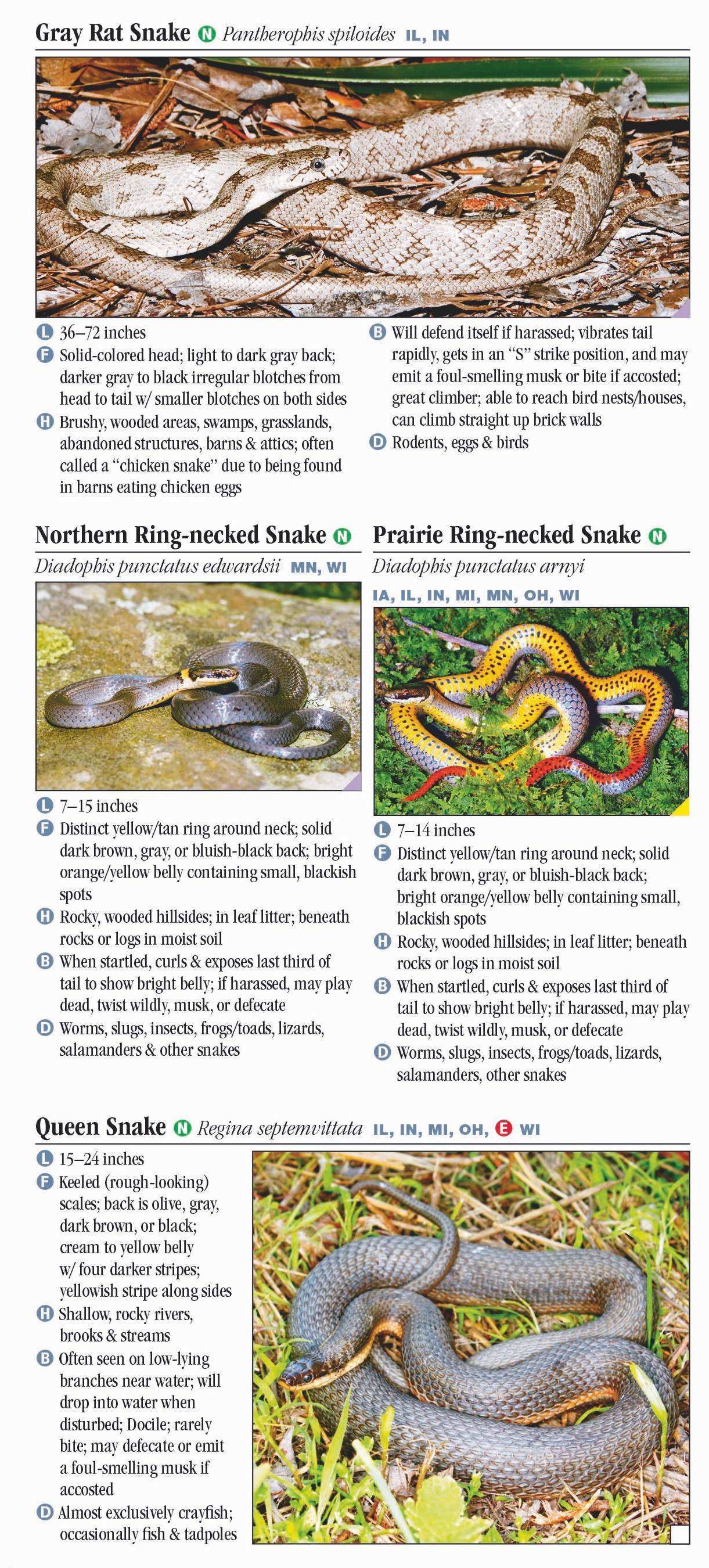 Snakes Of The Midwest – Quick Reference Publishing Retail