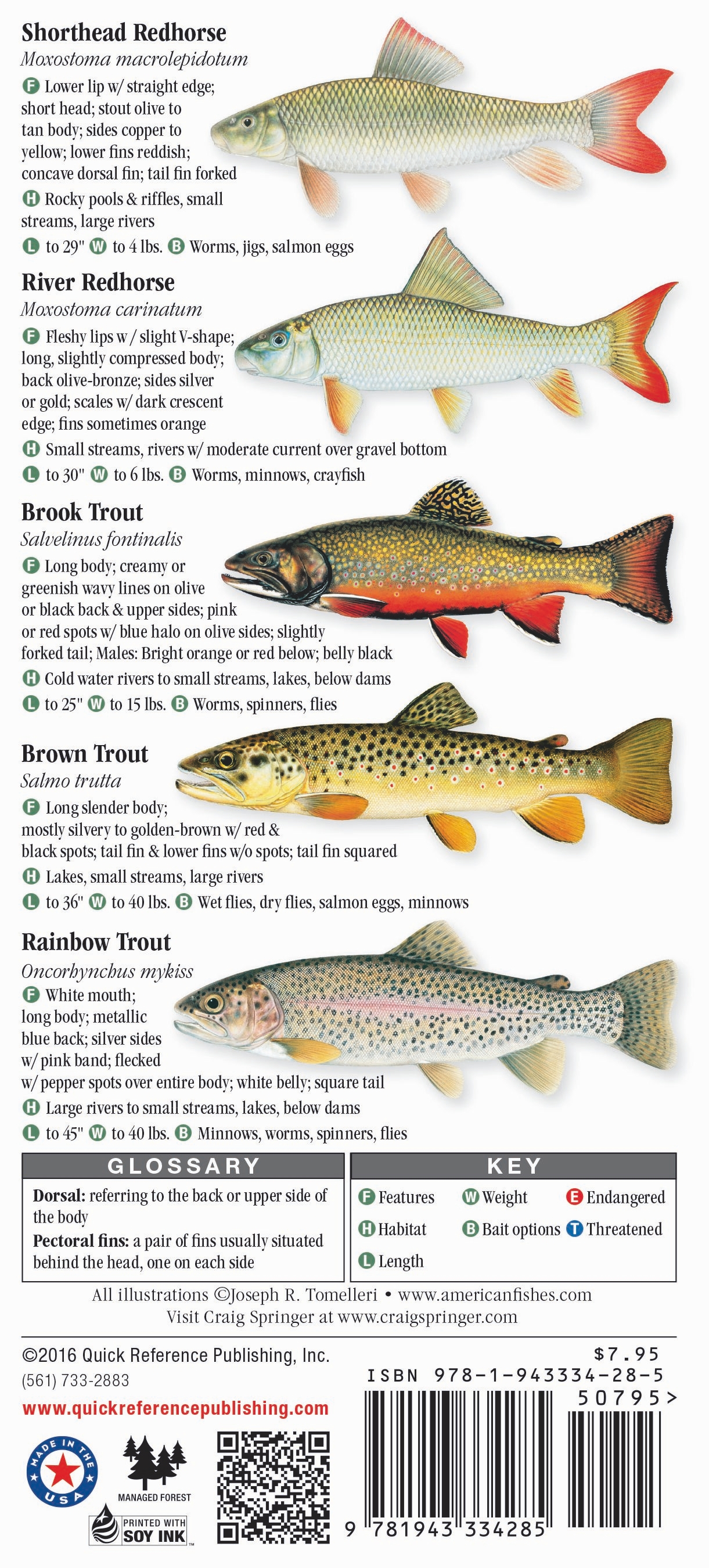 Freshwater Fishes of Tennessee – Quick Reference Publishing Retail