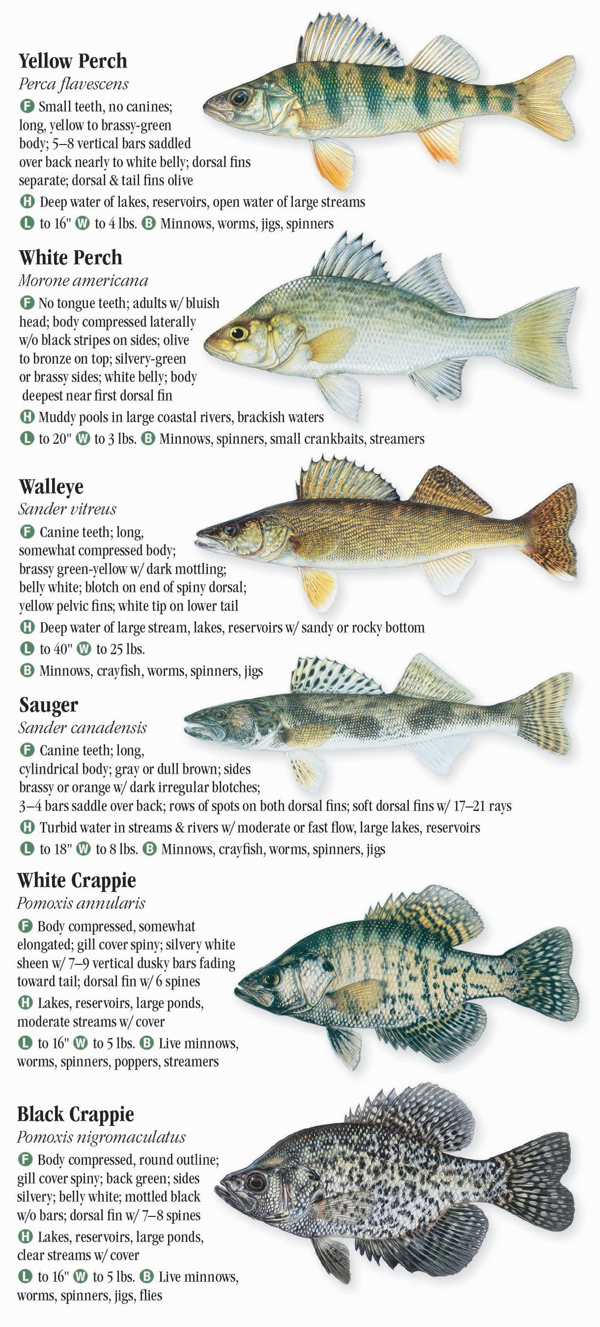 Freshwater Fishes of Pennsylvania – Quick Reference Publishing Retail