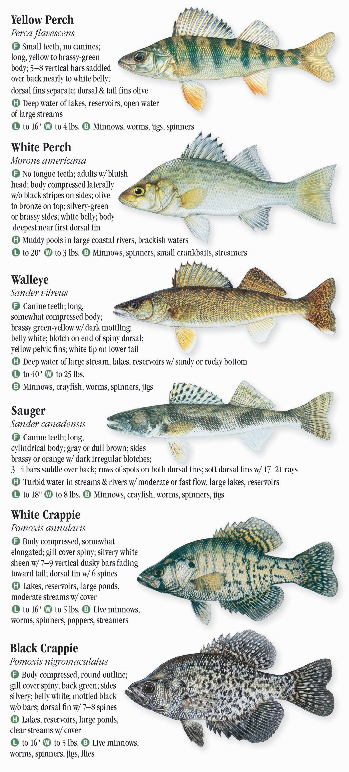 Freshwater Fishes of Ohio Quick Reference Publishing Retail