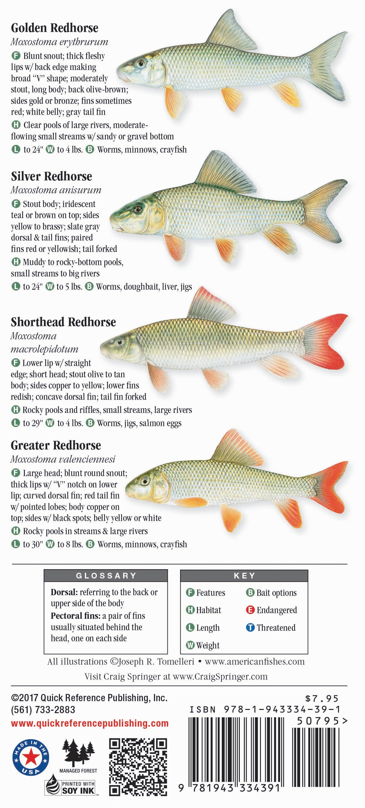 Freshwater Fishes of Ohio – Quick Reference Publishing Retail