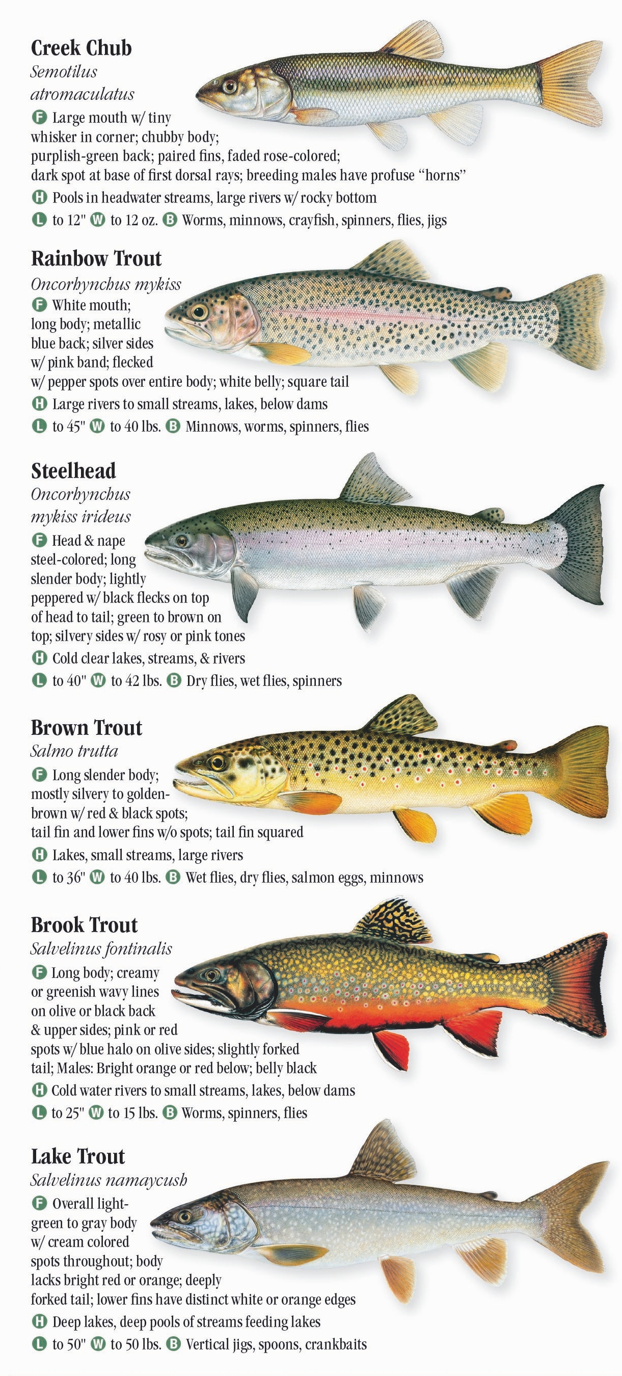 Freshwater Fishes of Wisconsin Quick Reference Publishing Retail