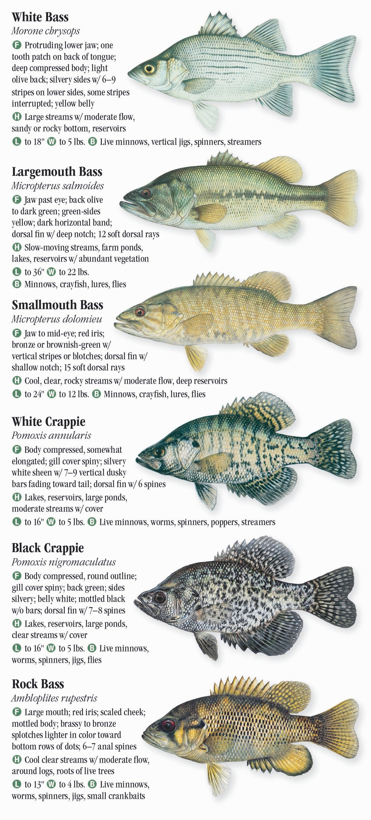 Freshwater Fishes of Wisconsin Quick Reference Publishing Retail