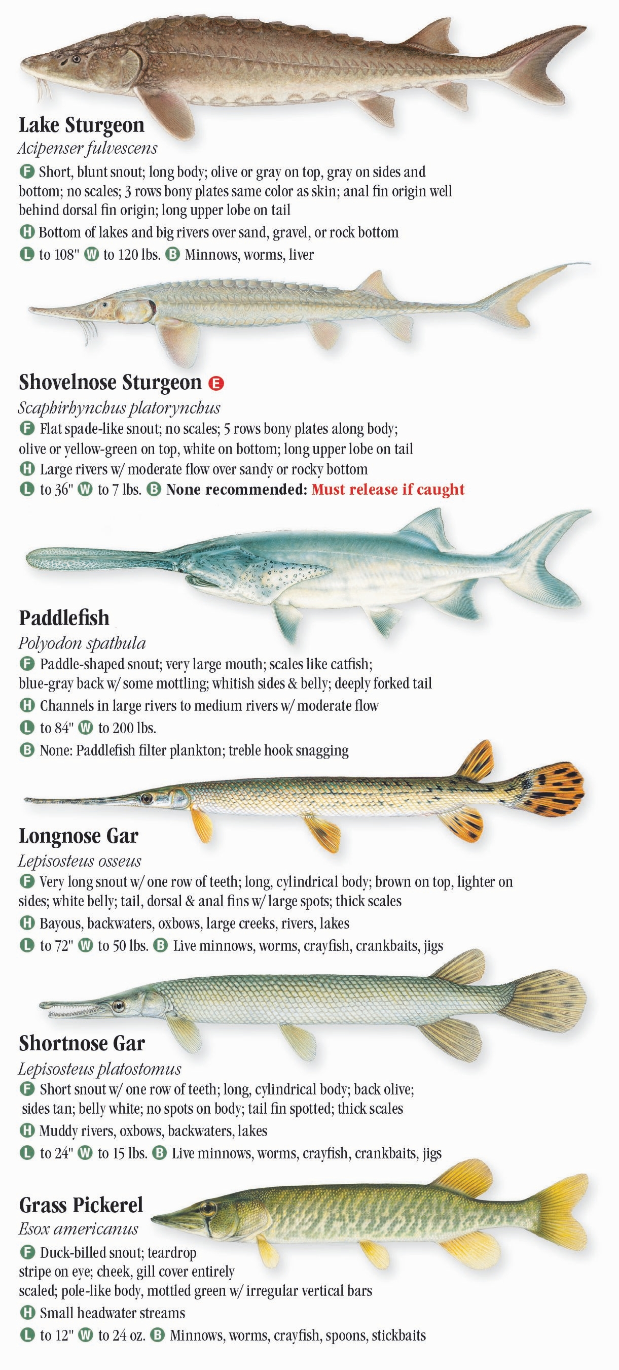 Fishes of Nebraska, Nebraska Maps & More