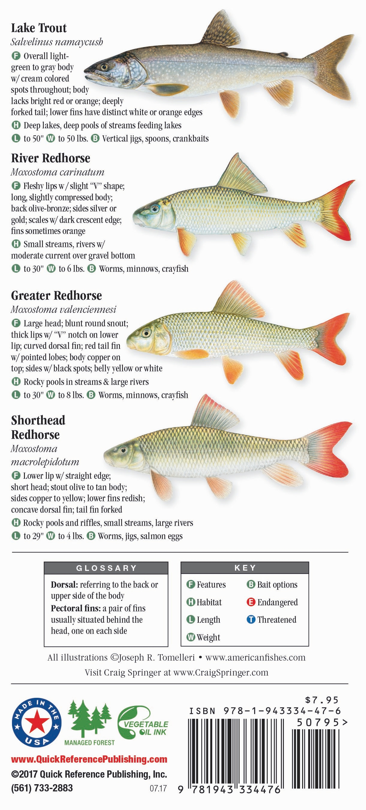 Freshwater Fishes of Minnesota Quick Reference Publishing Retail