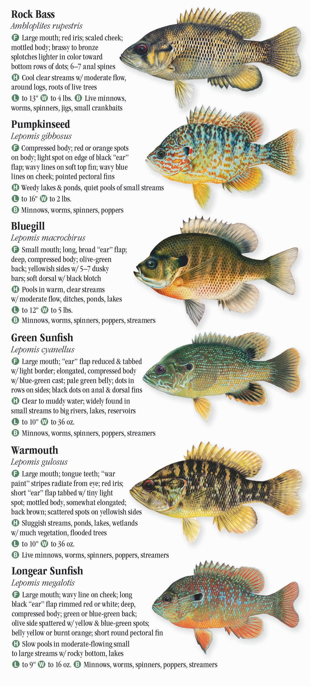 lake-michigan-fish-species-chart