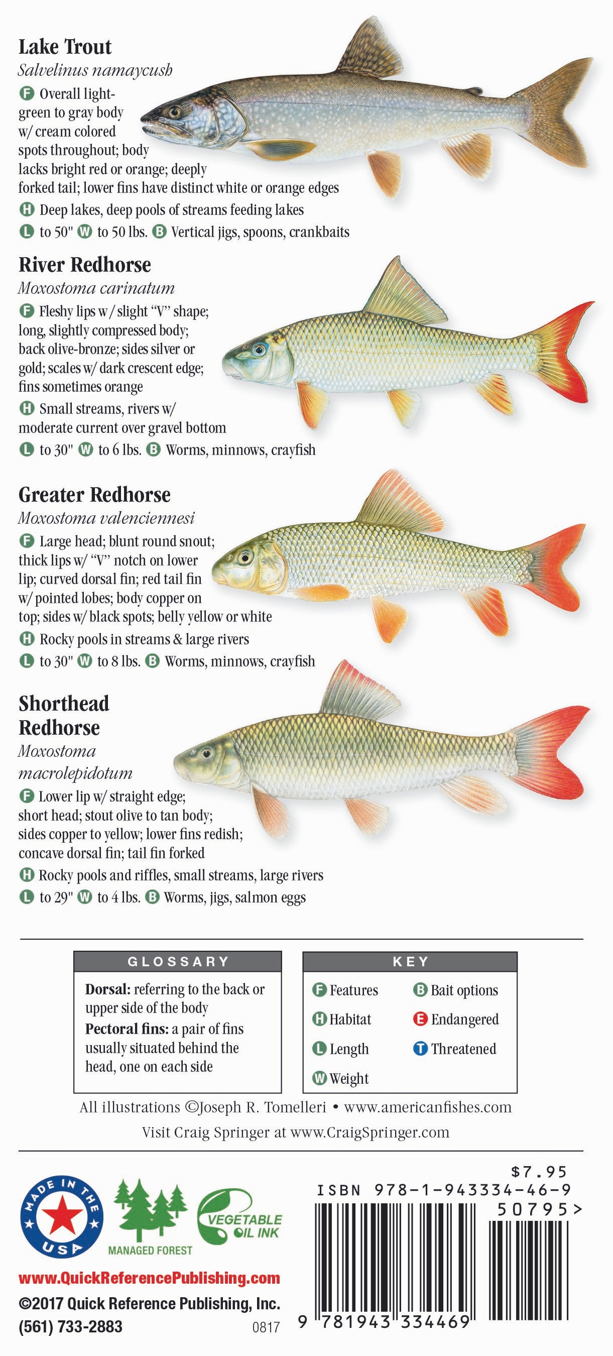 Lake Michigan Fish Species Chart