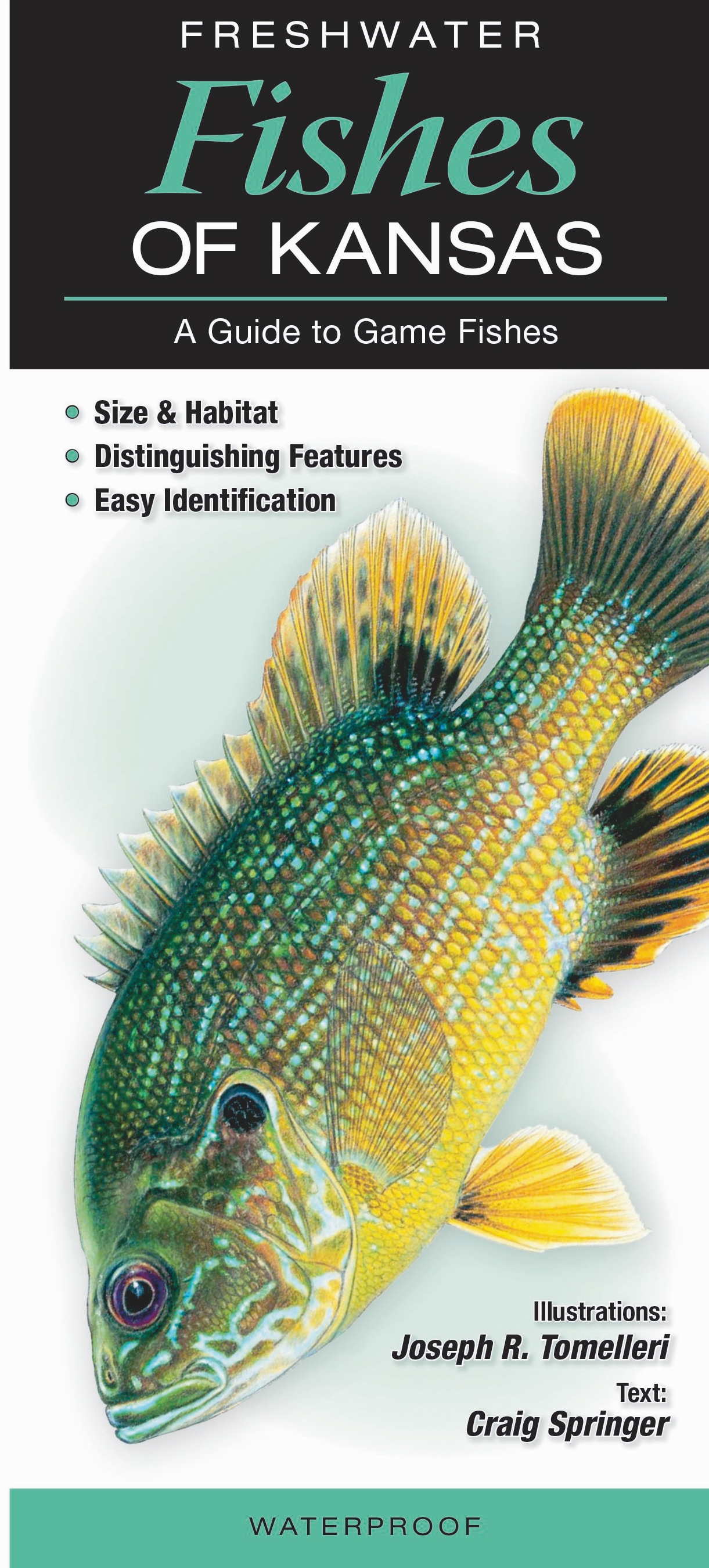 Fishes – Page 5 – Quick Reference Publishing Retail