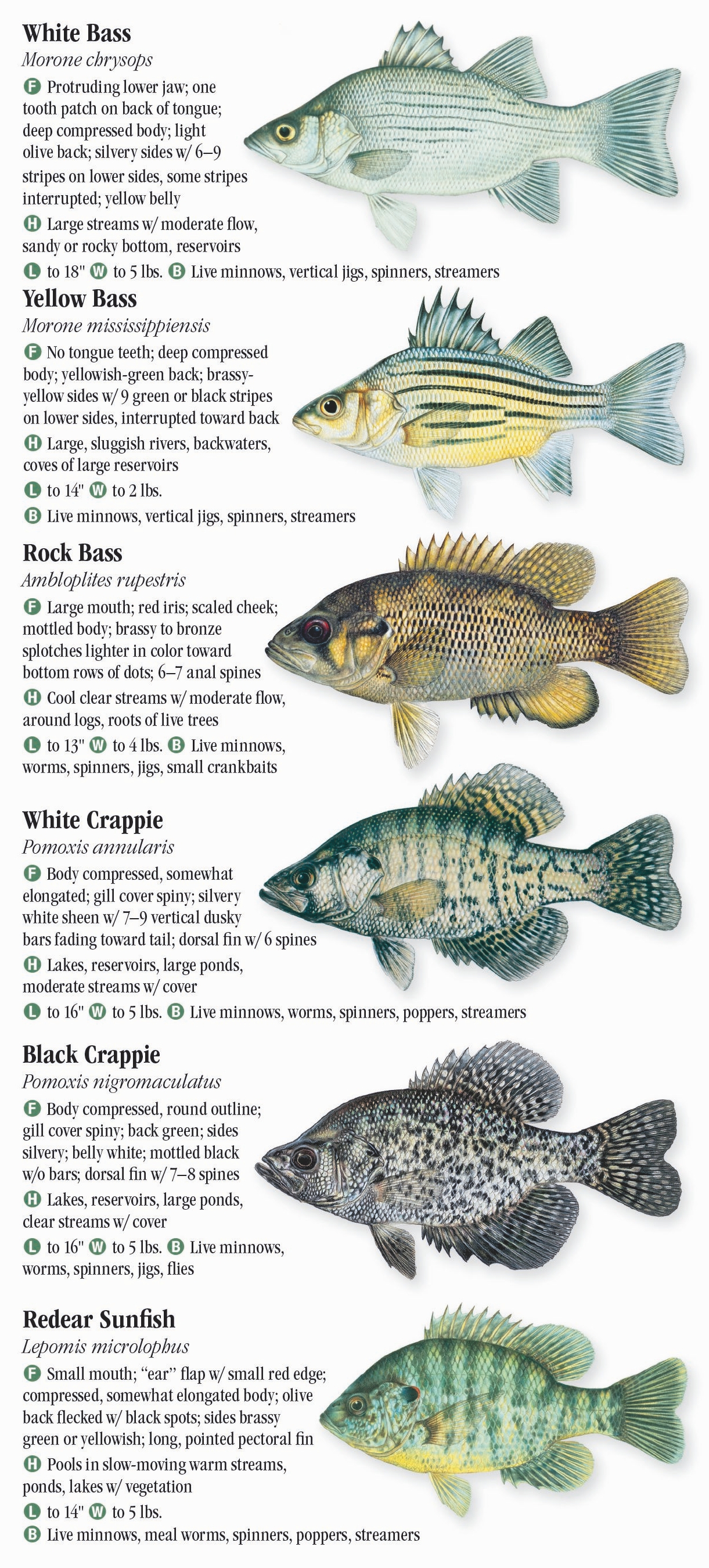 Freshwater Fishes of Kansas – Quick Reference Publishing Retail