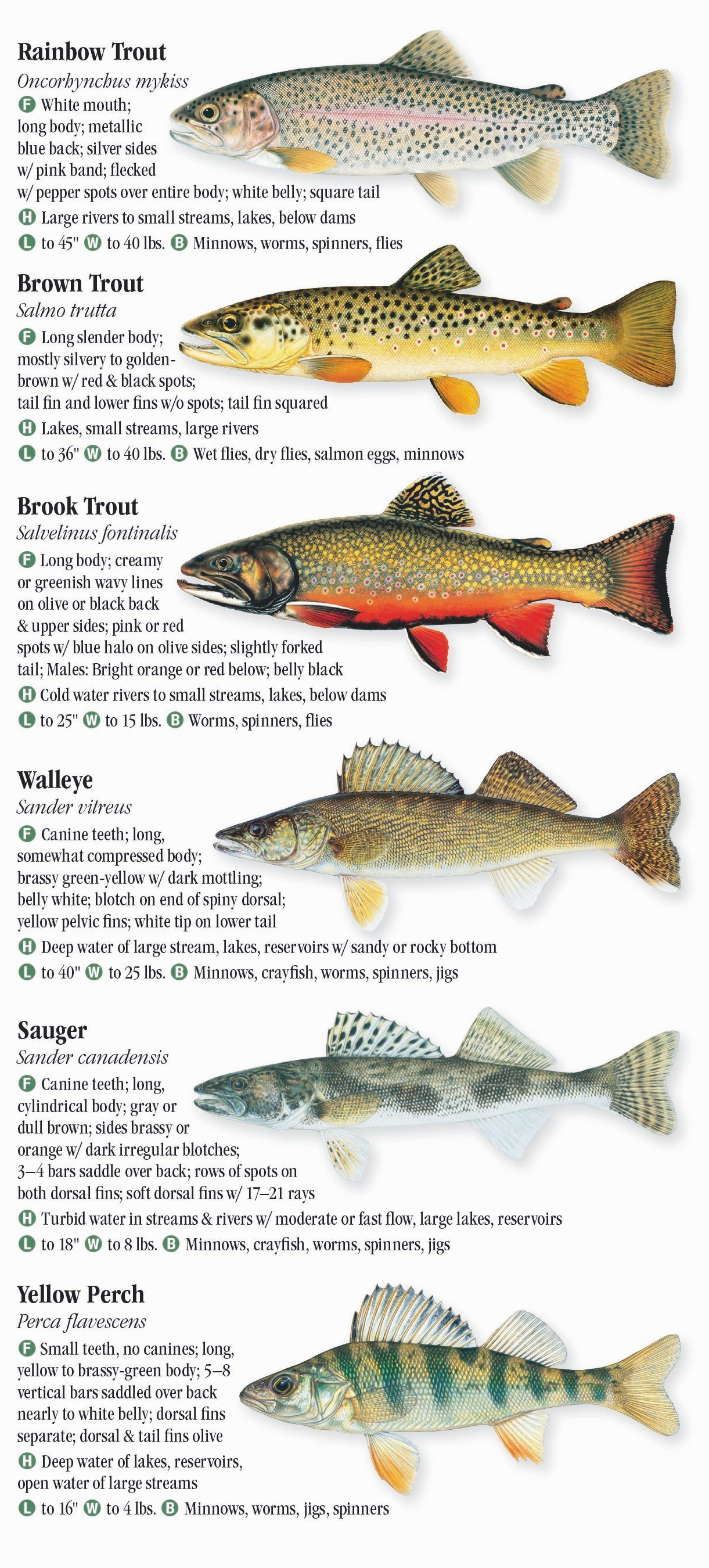 Iowa Fish Identification Chart