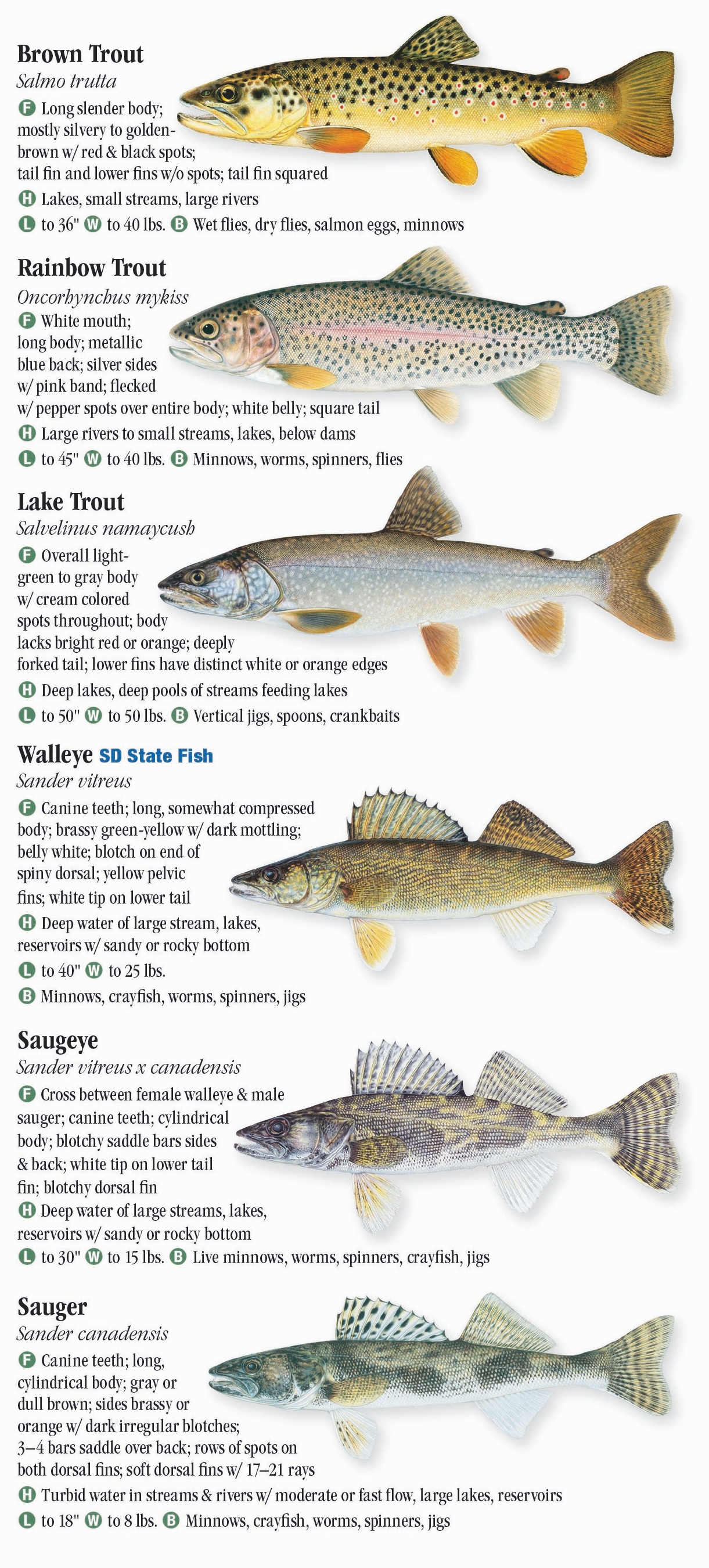 Freshwater Fishes of the Dakotas – Quick Reference Publishing Retail