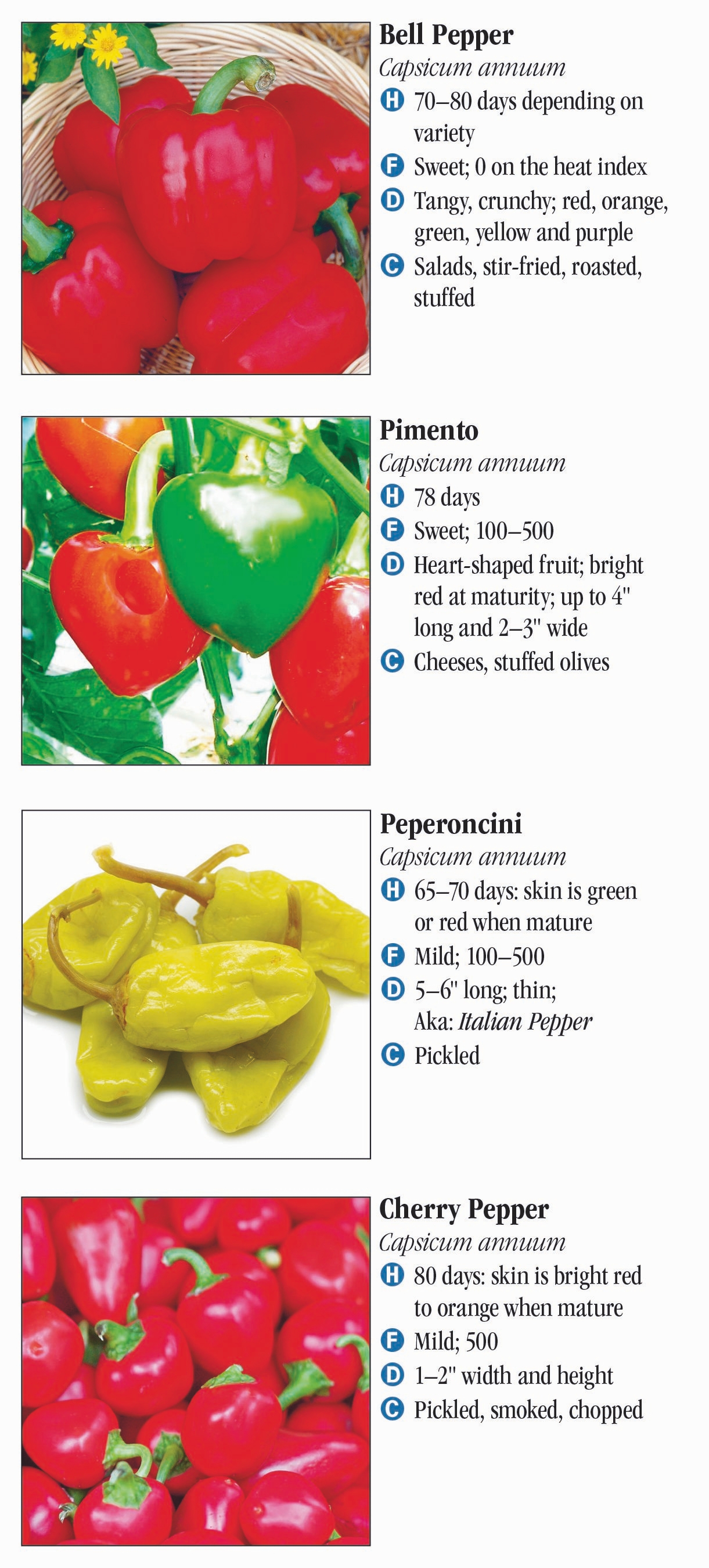 Peppers: From Sweet to Heat – Quick Reference Publishing Retail