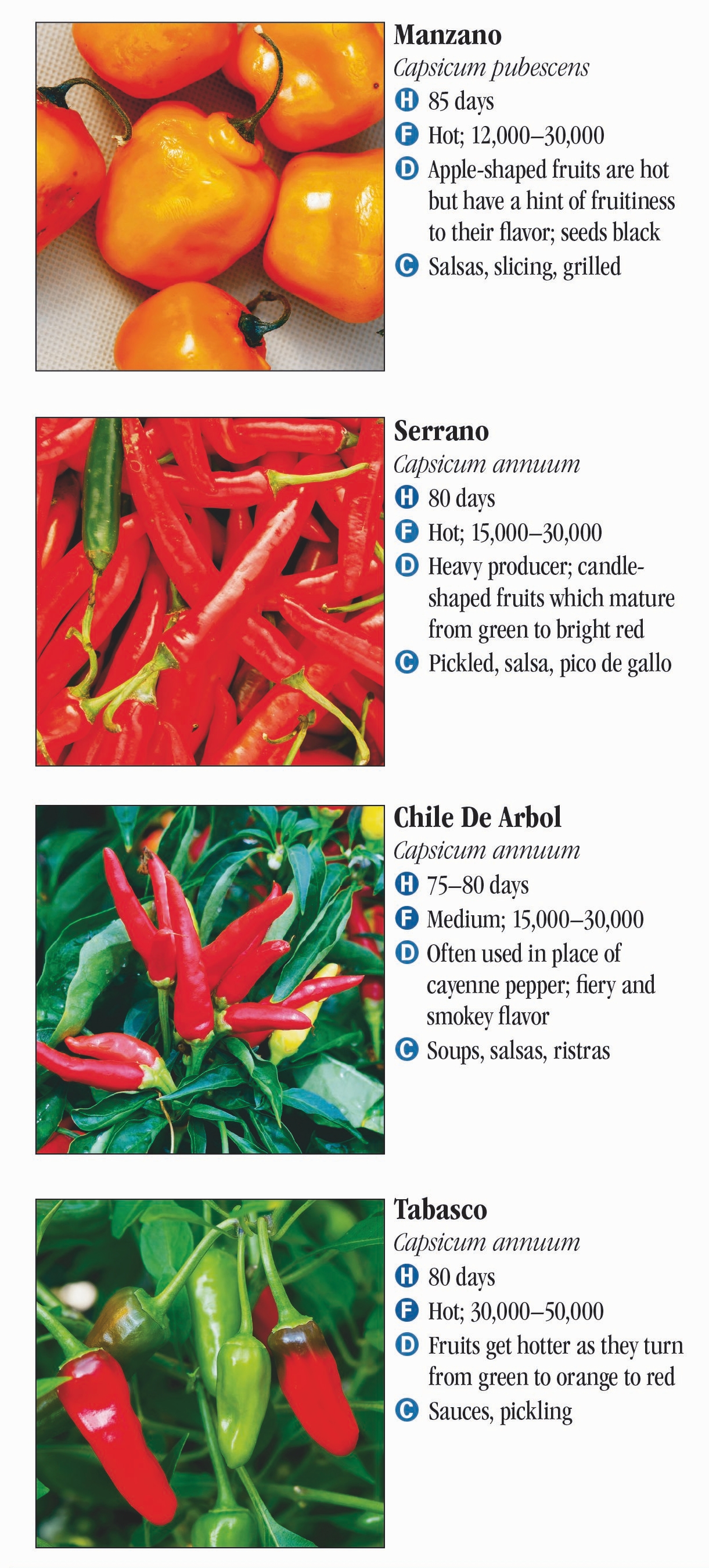 Peppers: From Sweet to Heat – Quick Reference Publishing Retail