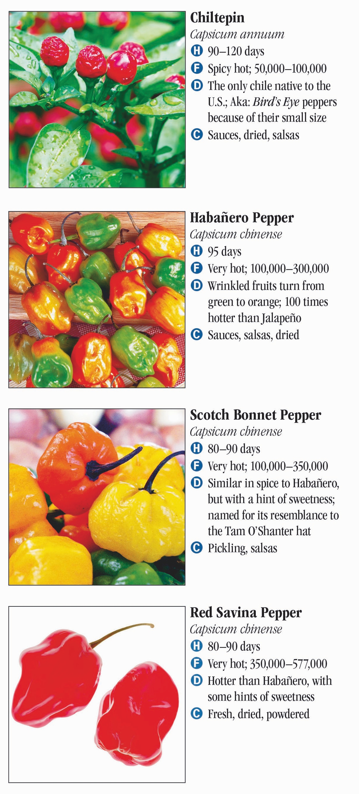 Peppers: From Sweet to Heat – Quick Reference Publishing Retail