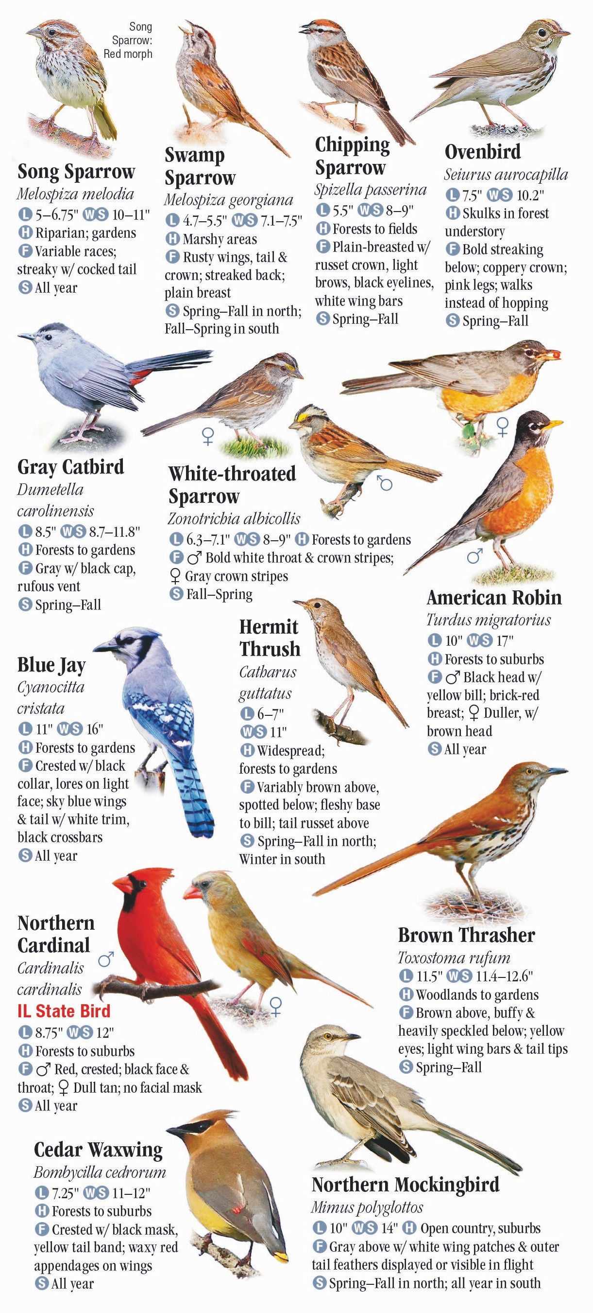 Birds of Illinois – Quick Reference Publishing Retail