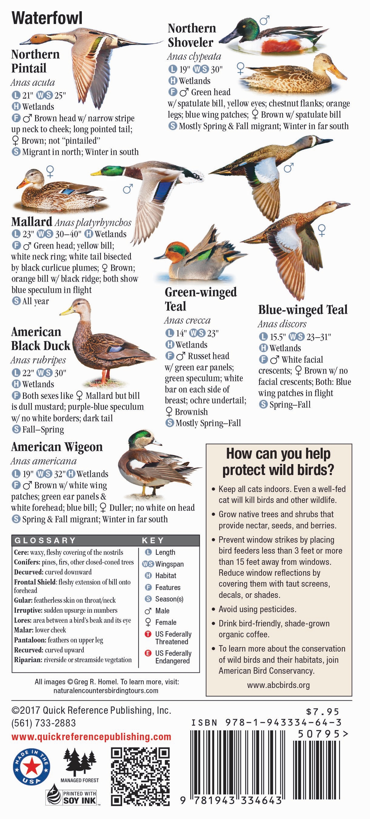 Birds of Illinois – Quick Reference Publishing Retail