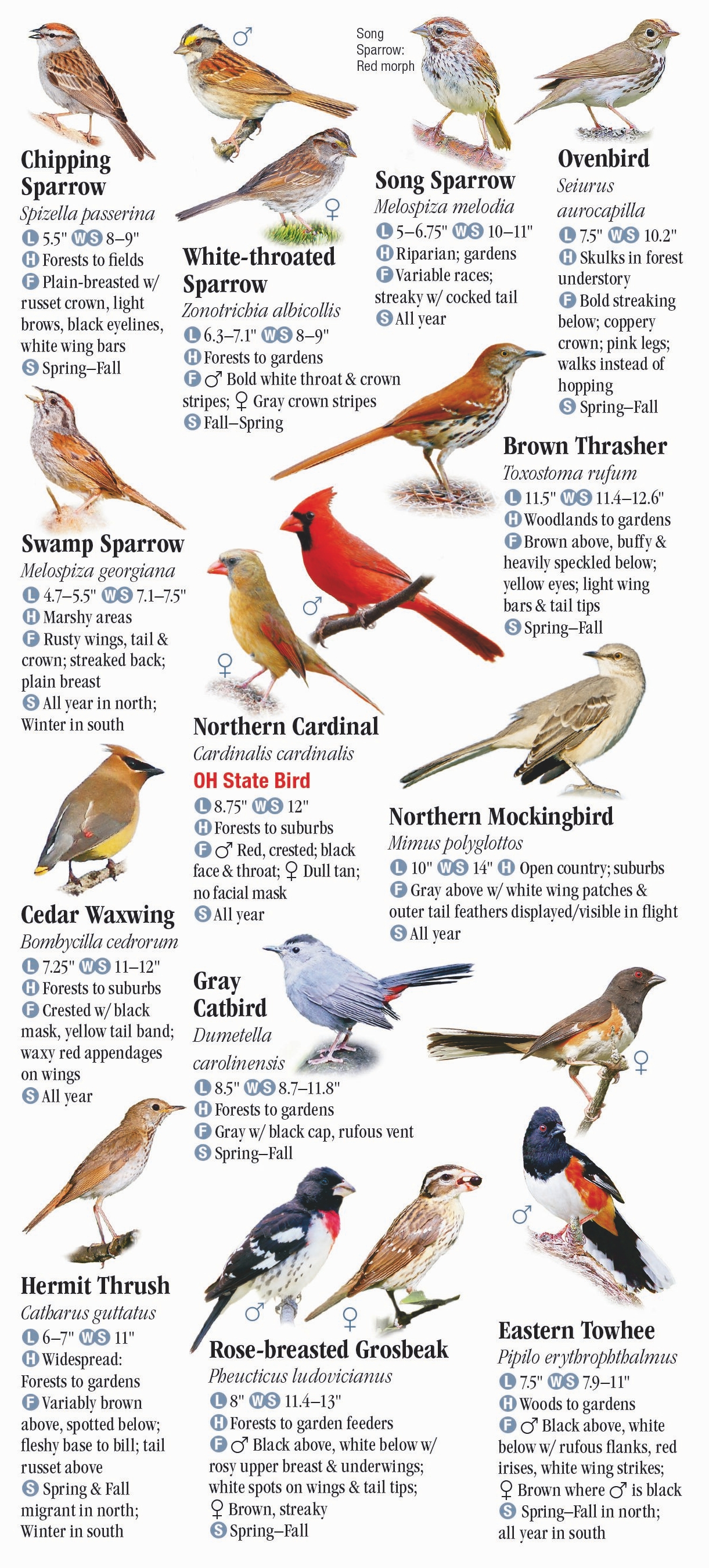 Birds of Ohio Quick Reference Publishing Retail