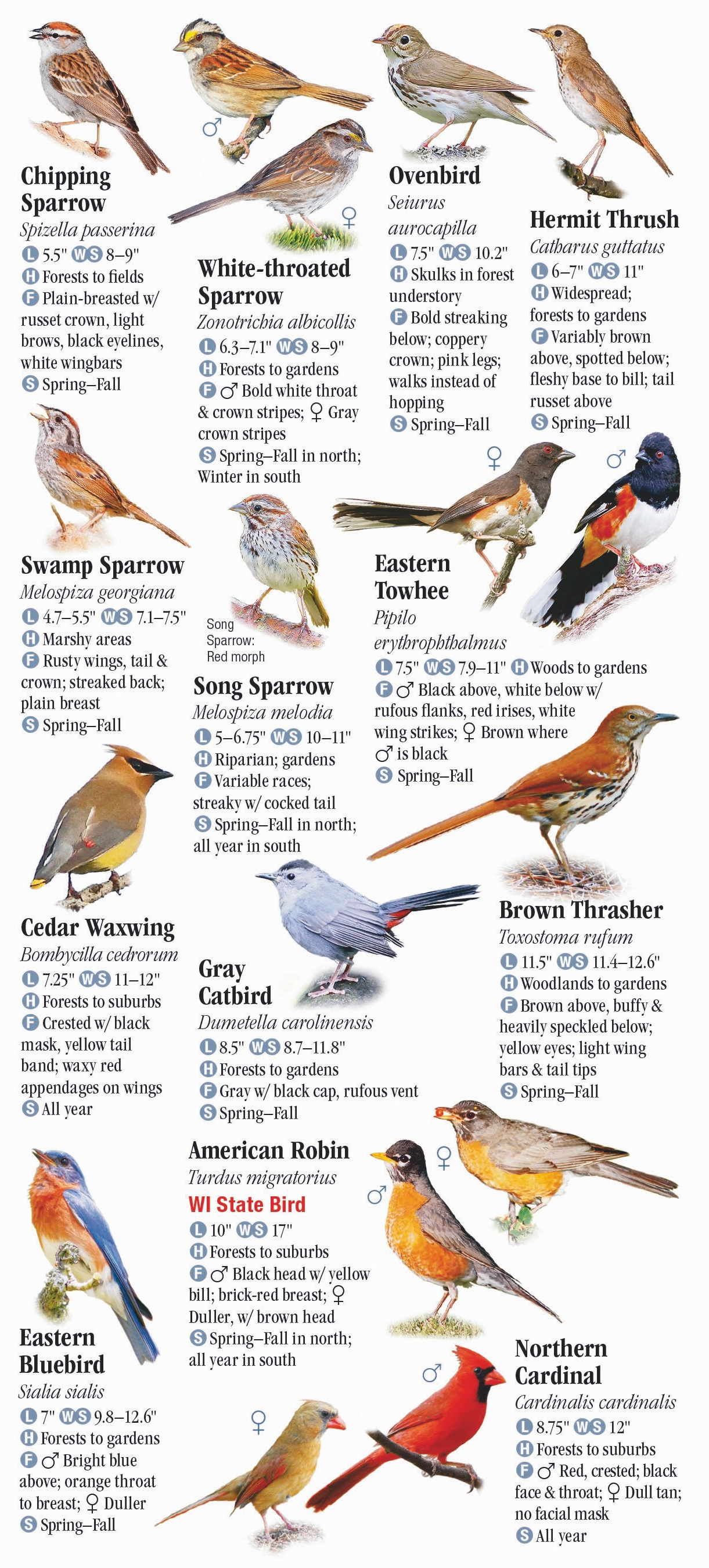 Birds of Wisconsin – Quick Reference Publishing Retail