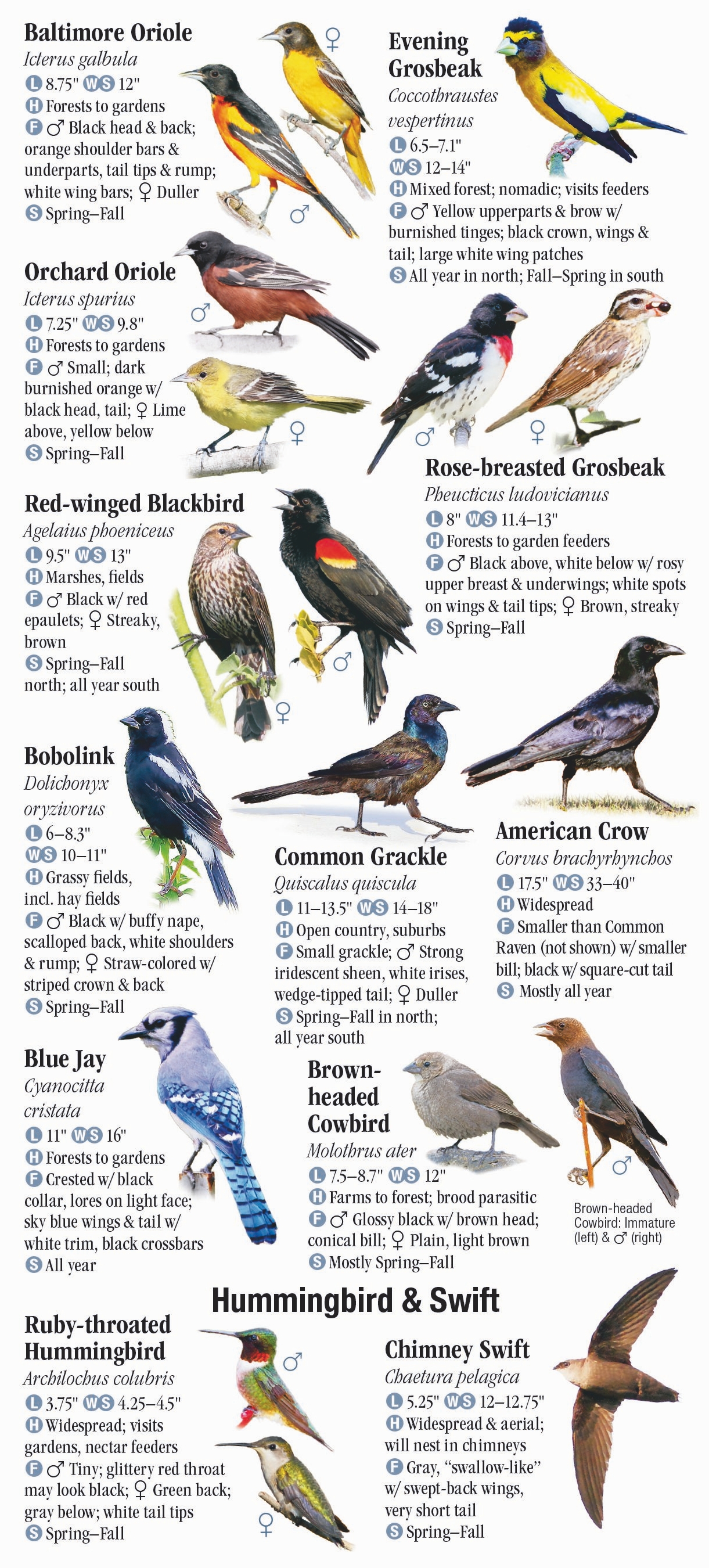 Birds of Wisconsin – Quick Reference Publishing Retail