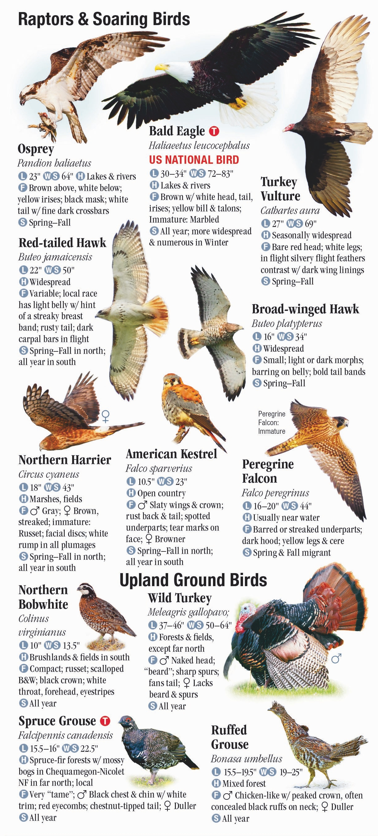 Birds of Wisconsin – Quick Reference Publishing Retail