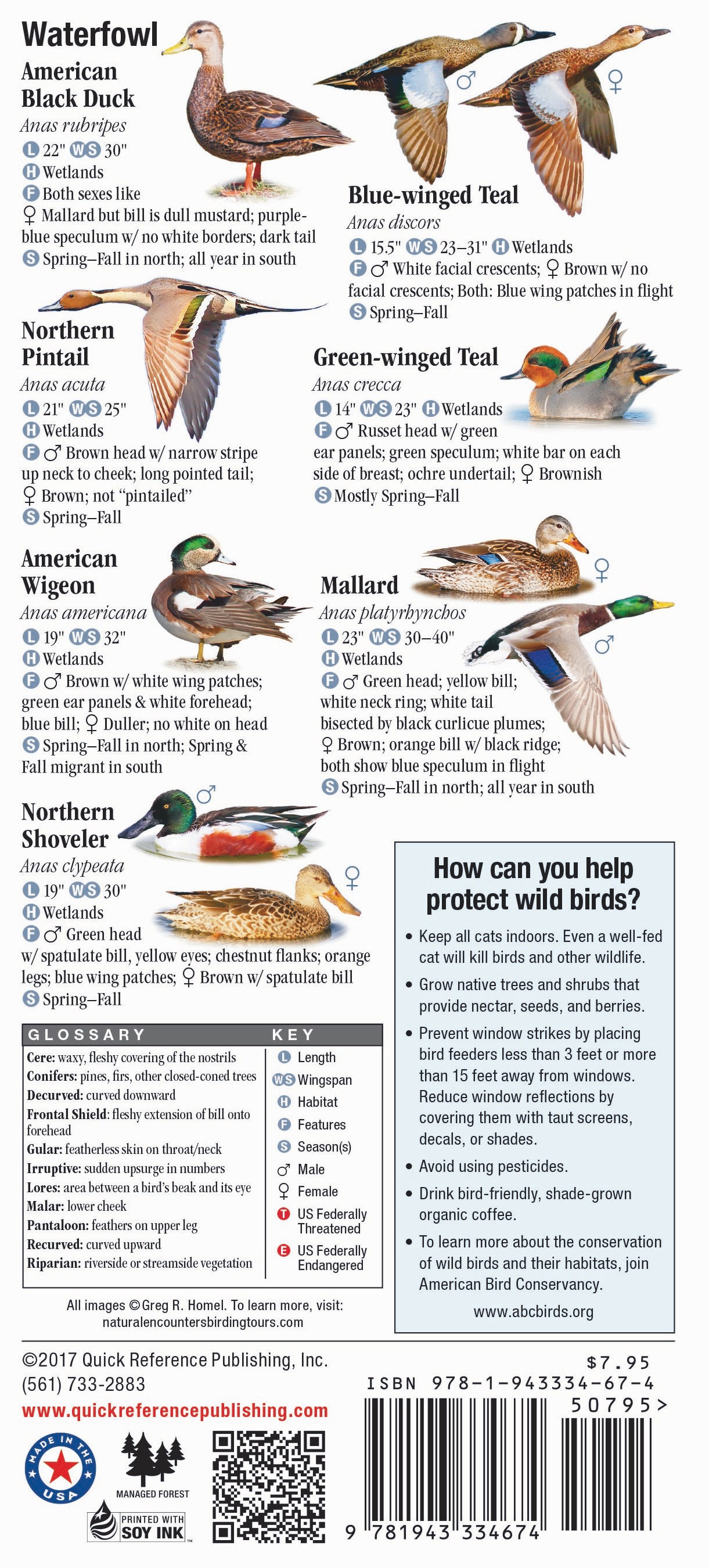 Birds of Wisconsin – Quick Reference Publishing Retail