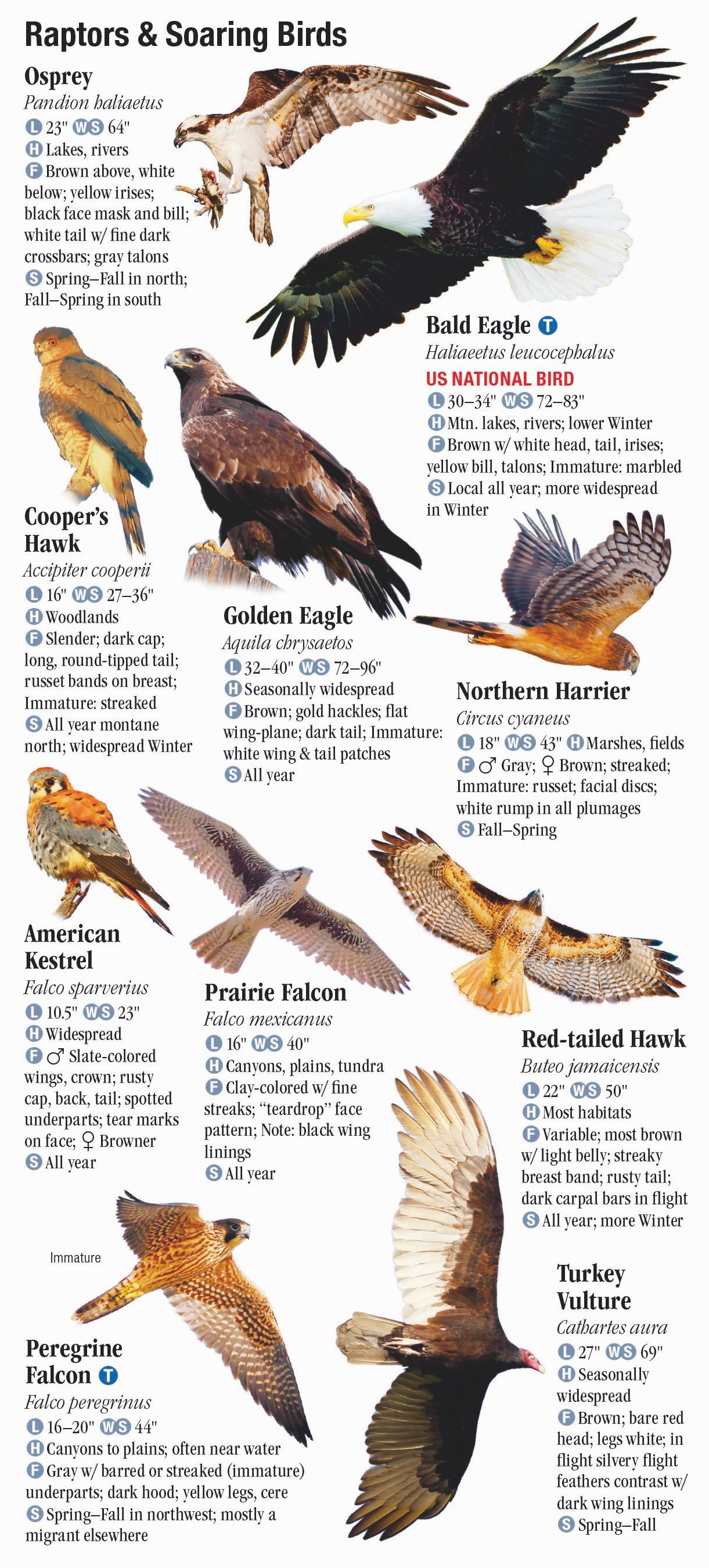 Birds of New Mexico – Quick Reference Publishing Retail