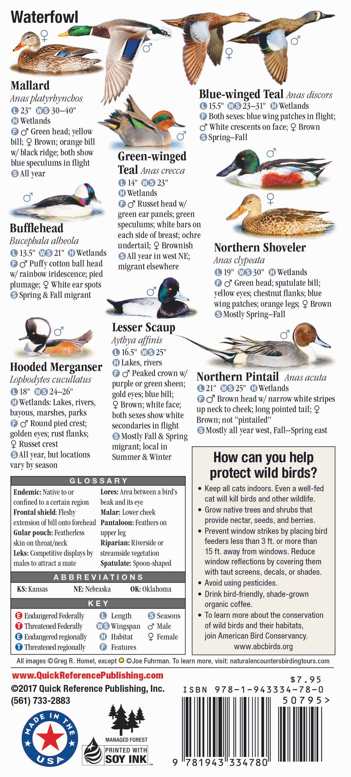 Birds of Nebraska – Quick Reference Publishing Retail