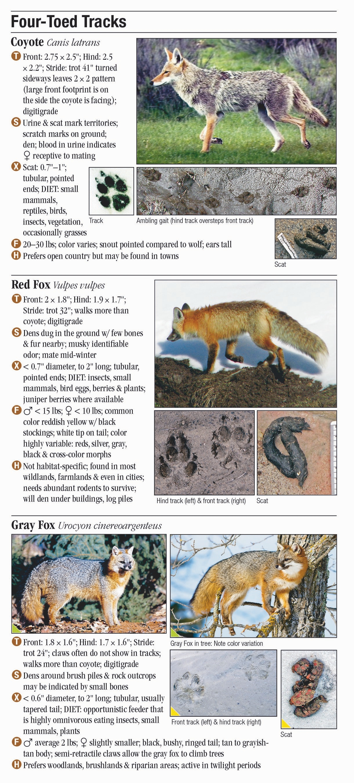 Mammals of Arizona – Quick Reference Publishing Retail