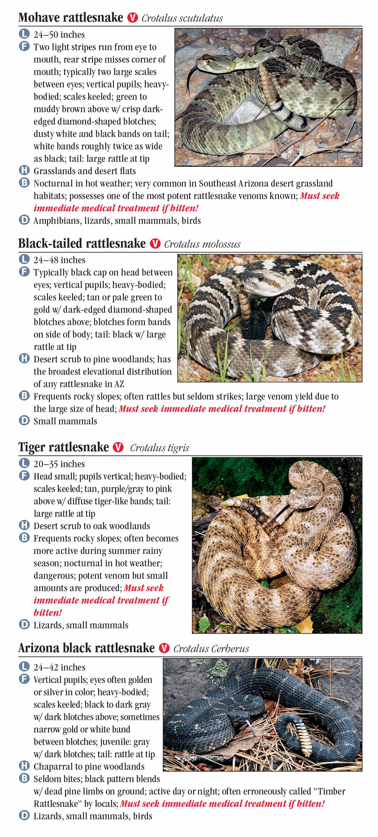 Snakes of Southeast Arizona – Quick Reference Publishing Retail