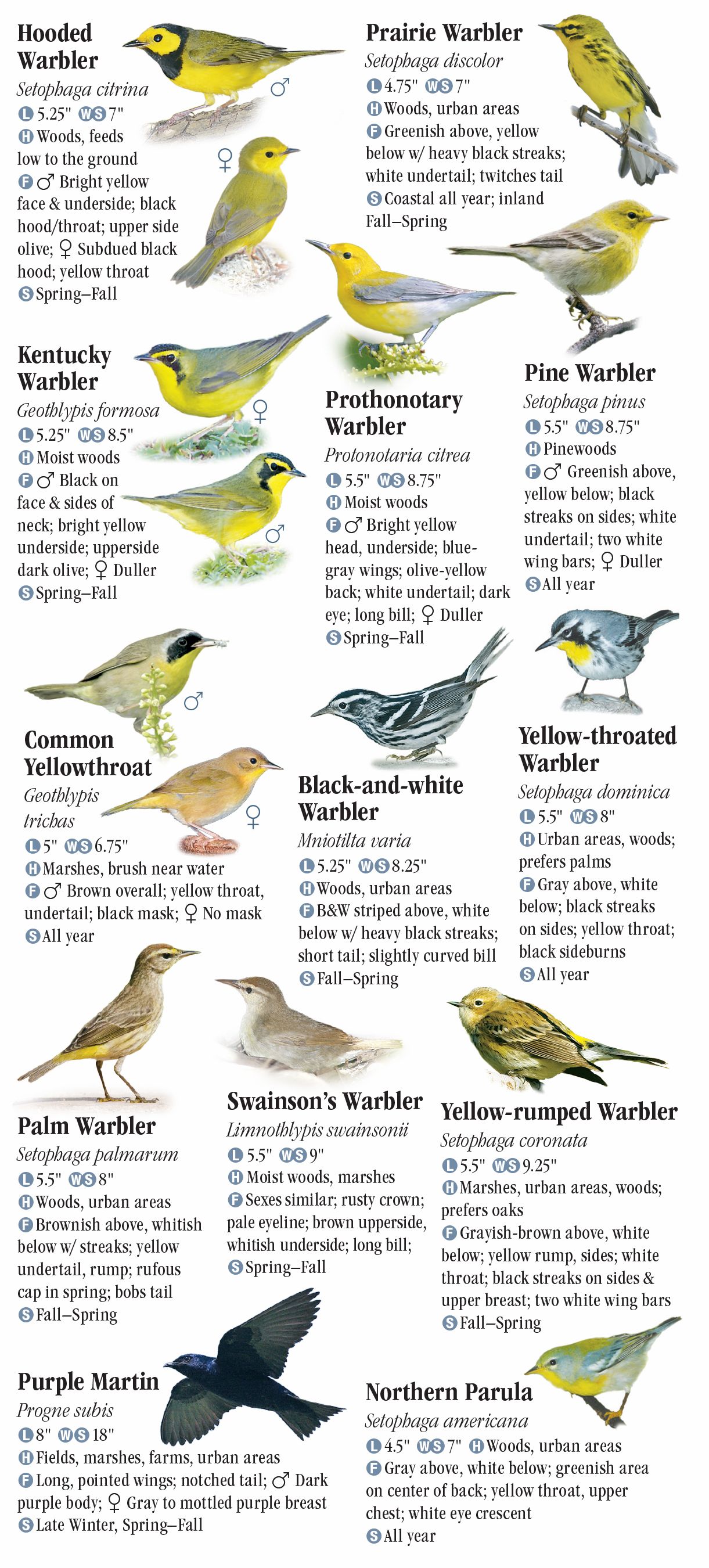 birds-of-north-florida-including-the-panhandle-quick-reference