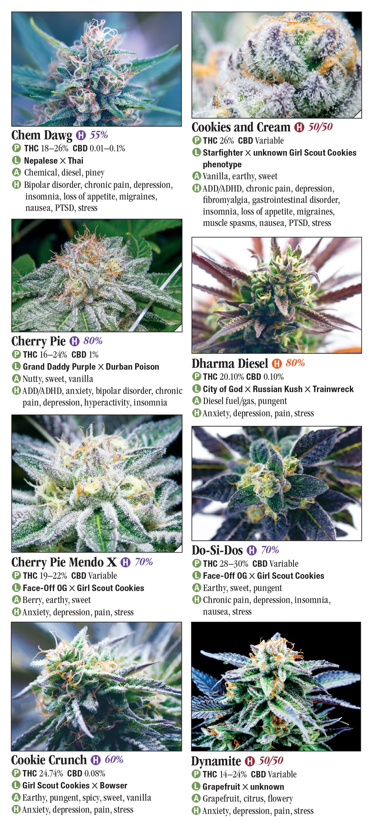 Cannabis: A Guide to Common and Exotic Strains – Quick Reference ...