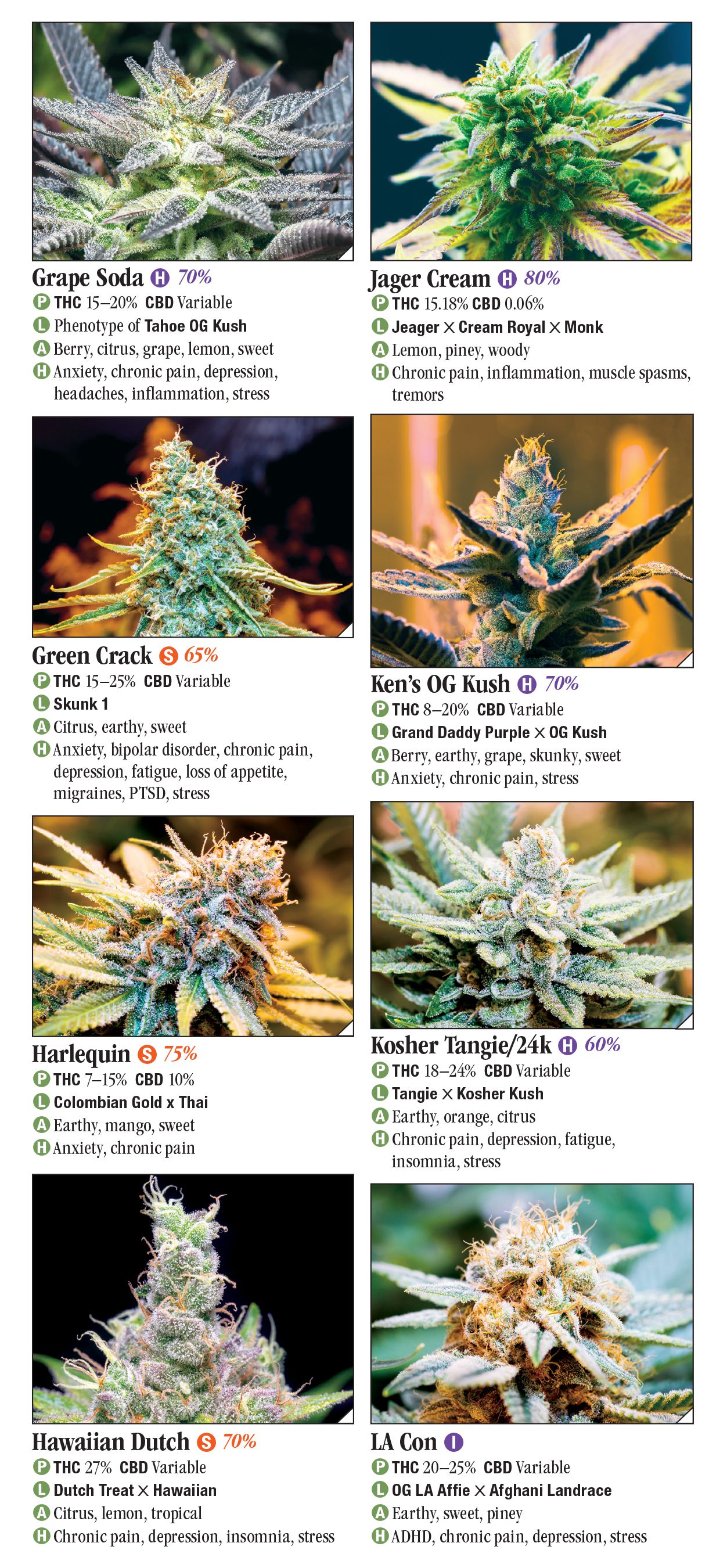 Cannabis: A Guide to Common and Exotic Strains – Quick Reference ...