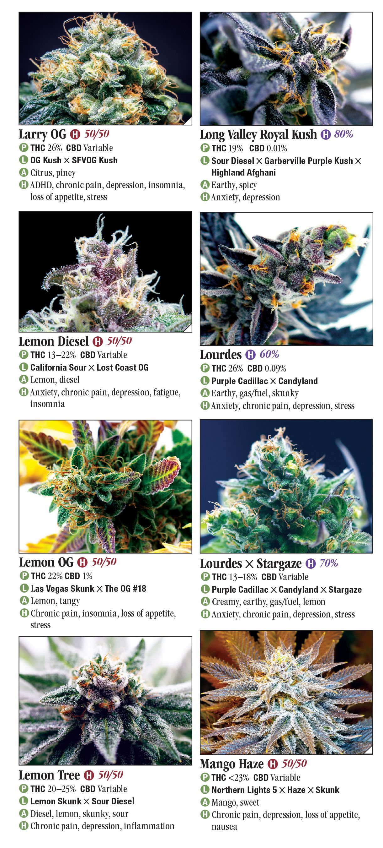 Cannabis: A Guide to Common and Exotic Strains – Quick Reference ...