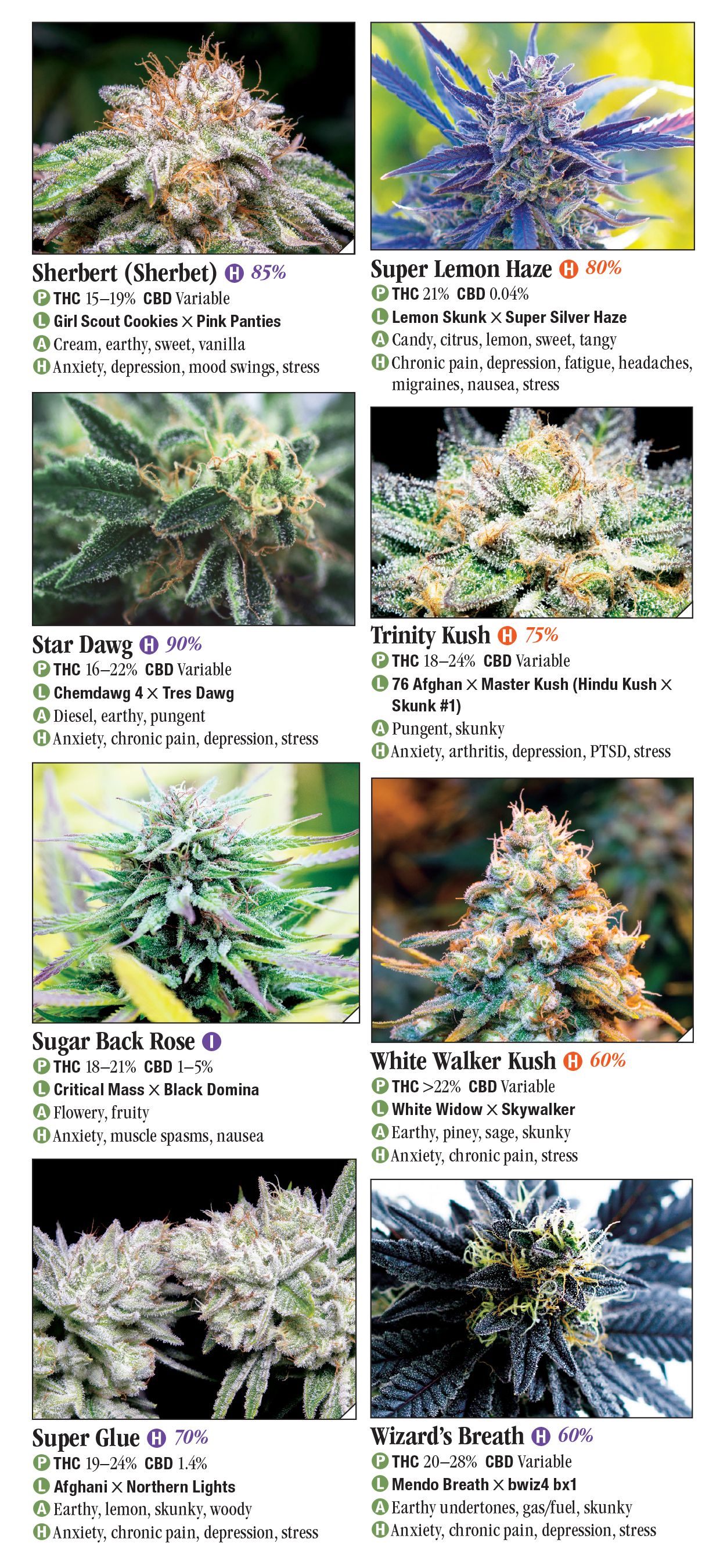 Cannabis: A Guide to Common and Exotic Strains – Quick Reference ...