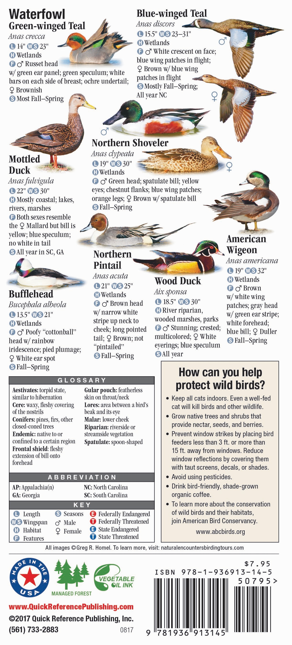 Birds of North Carolina, South Carolina and Georgia – Quick Reference ...