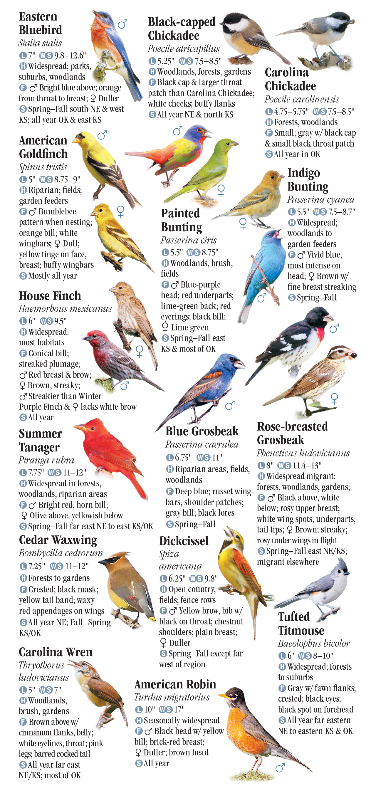 A history of North American birds [microform] : land birds. Birds