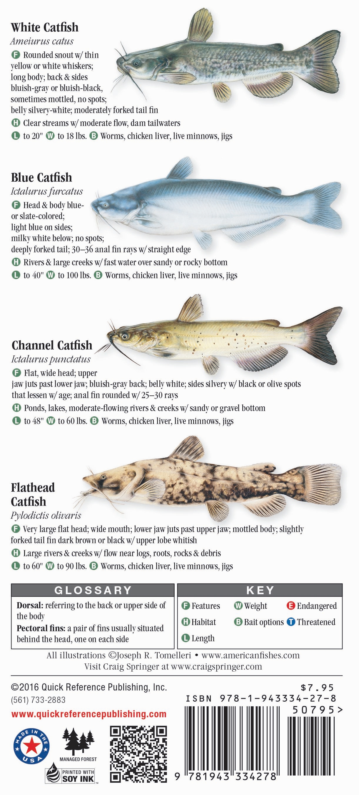 Freshwater Fishes of Alabama & Mississippi – Quick Reference Publishing ...