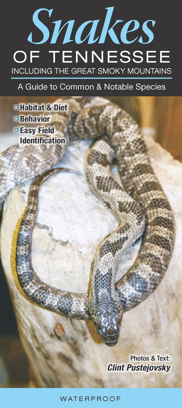 Snakes Of Tennessee – Quick Reference Publishing