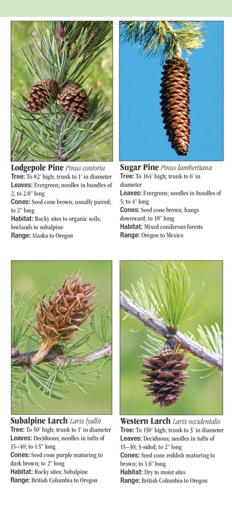 Trees of the Pacific Northwest – Quick Reference Publishing