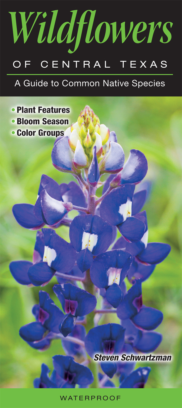 Wildflowers of Central Texas – Quick Reference Publishing