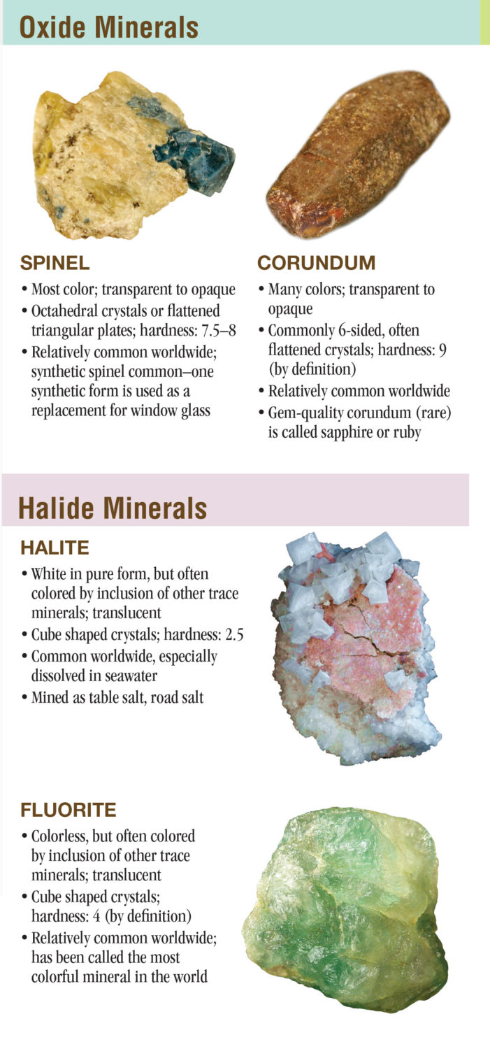 Texas Rocks A Guide to Gems, Minerals and Crystals Quick Reference