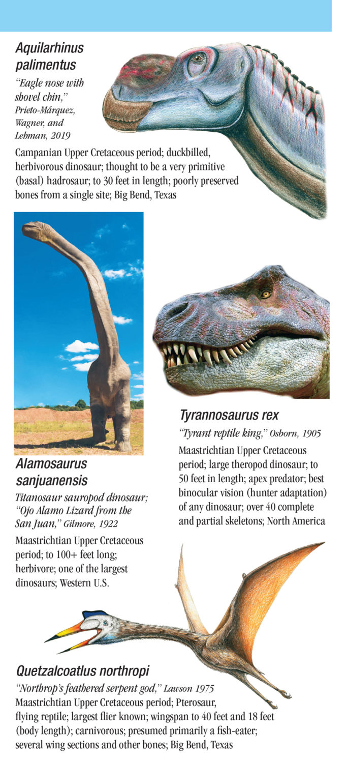 Dinosaurs and other Prehistoric Animals of Texas – Quick Reference ...