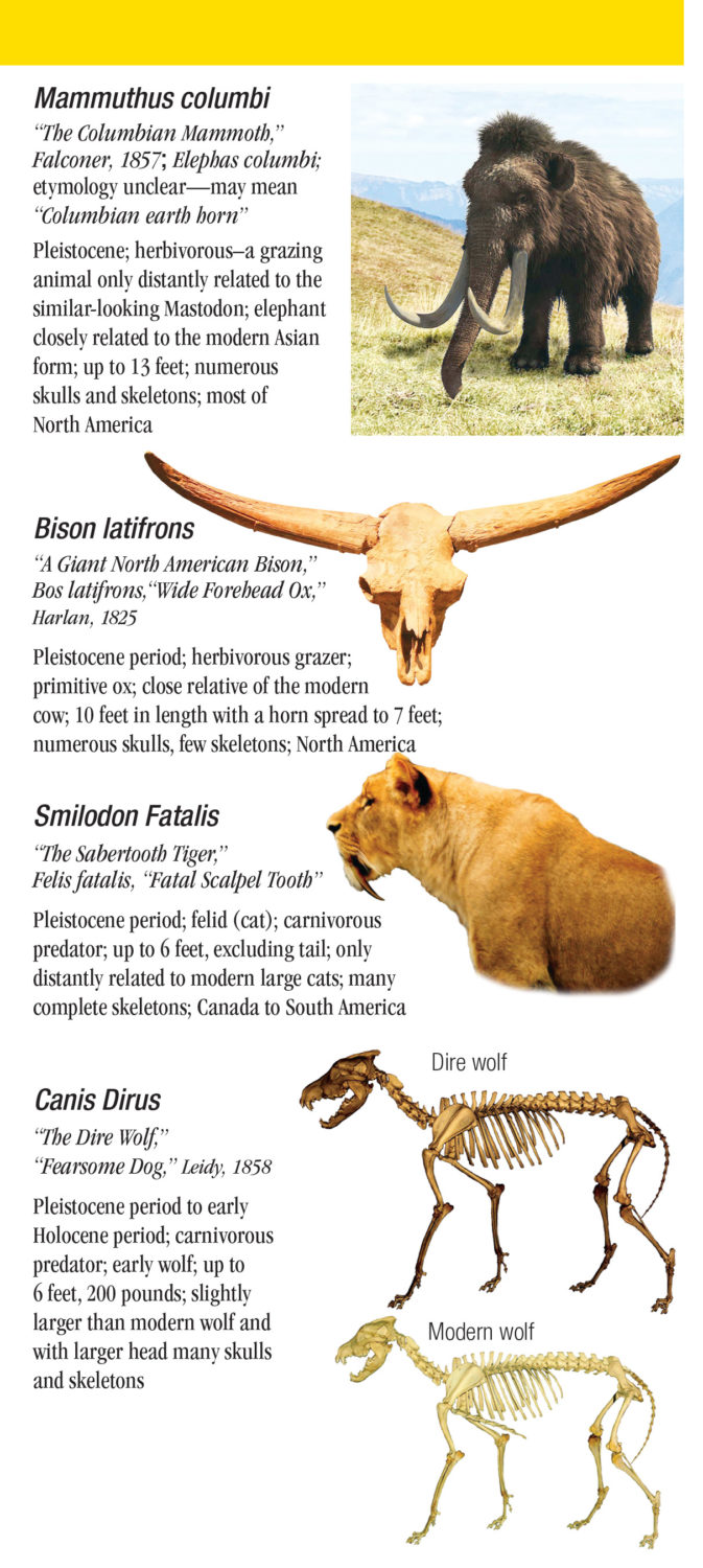 Dinosaurs And Other Prehistoric Animals Of Texas – Quick Reference 